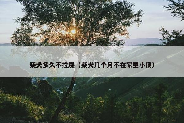 柴犬多久不拉屎（柴犬几个月不在家里小便）
