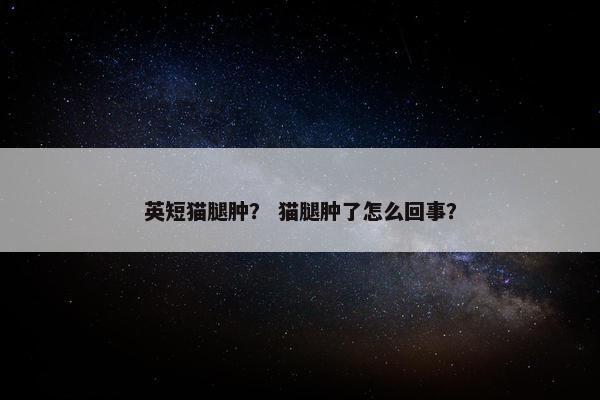 英短猫腿肿？ 猫腿肿了怎么回事？