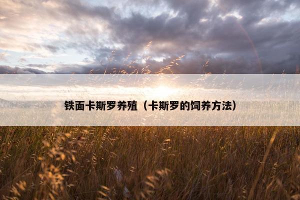 铁面卡斯罗养殖（卡斯罗的饲养方法）