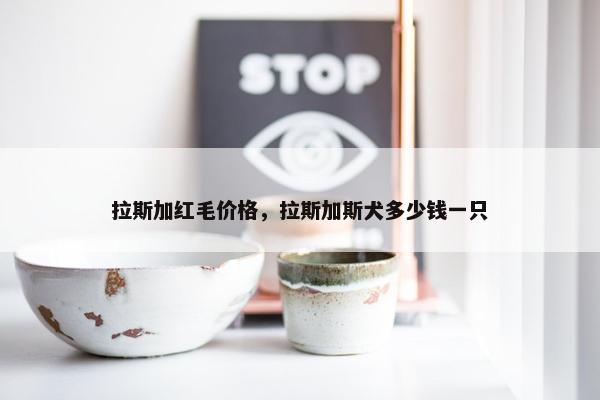 拉斯加红毛价格，拉斯加斯犬多少钱一只