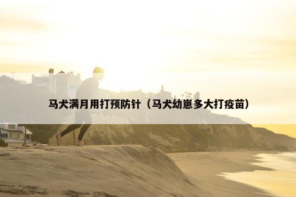 马犬满月用打预防针（马犬幼崽多大打疫苗）