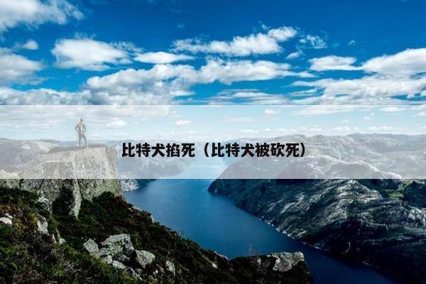 比特犬掐死（比特犬被砍死）