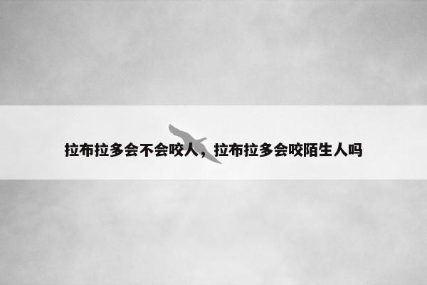 拉布拉多会不会咬人，拉布拉多会咬陌生人吗