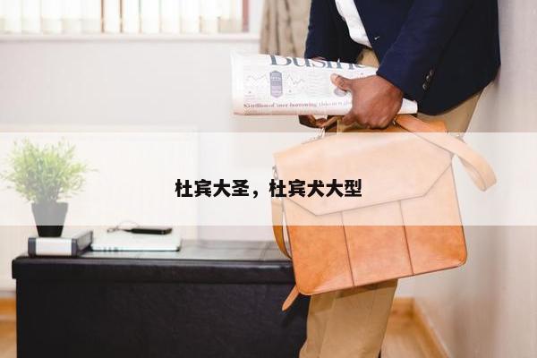 杜宾大圣，杜宾犬大型