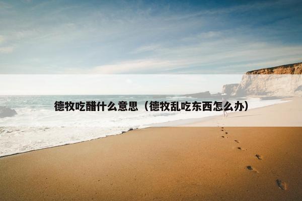 德牧吃醋什么意思（德牧乱吃东西怎么办）