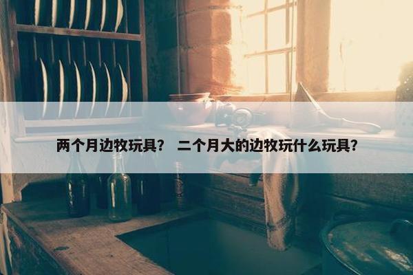 两个月边牧玩具？ 二个月大的边牧玩什么玩具？