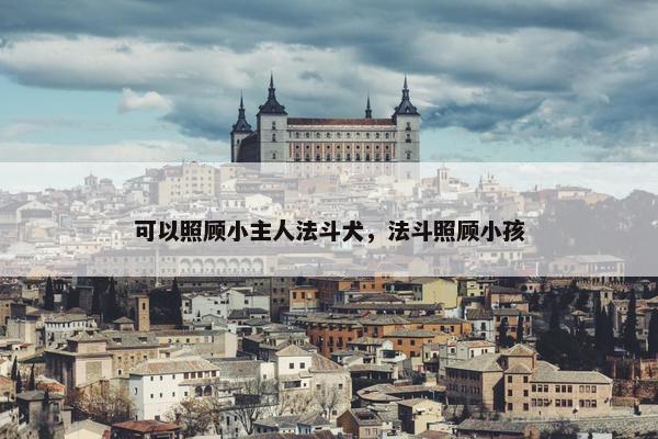 可以照顾小主人法斗犬，法斗照顾小孩