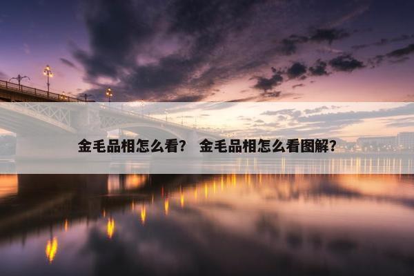 金毛品相怎么看？ 金毛品相怎么看图解？