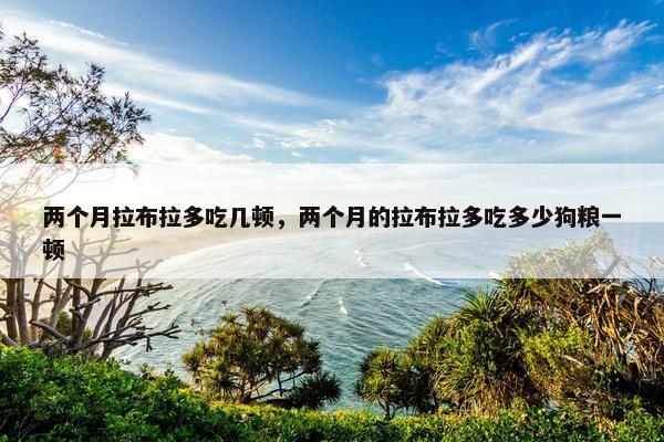 两个月拉布拉多吃几顿，两个月的拉布拉多吃多少狗粮一顿