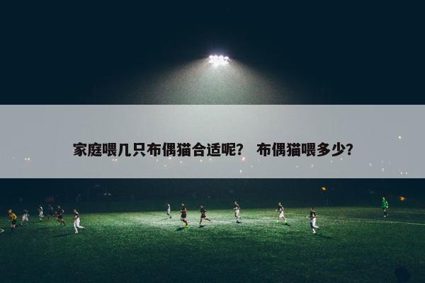 家庭喂几只布偶猫合适呢？ 布偶猫喂多少？