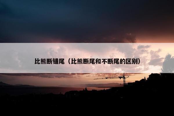 比熊断错尾（比熊断尾和不断尾的区别）