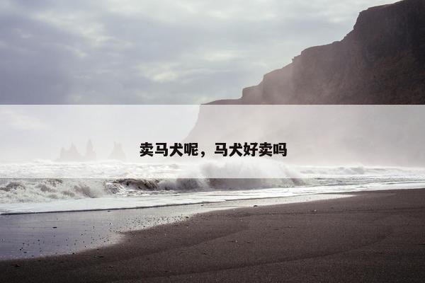 卖马犬呢，马犬好卖吗
