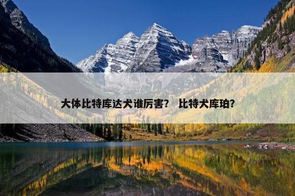 大体比特库达犬谁厉害？ 比特犬库珀？