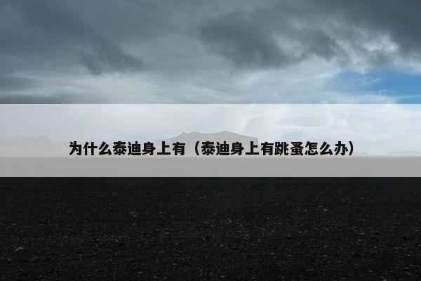为什么泰迪身上有（泰迪身上有跳蚤怎么办）