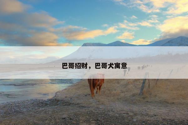 巴哥招财，巴哥犬寓意