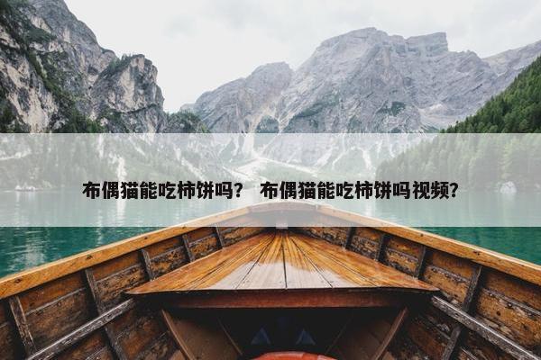 布偶猫能吃柿饼吗？ 布偶猫能吃柿饼吗视频？