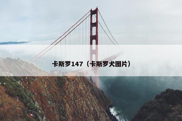 卡斯罗147（卡斯罗犬图片）