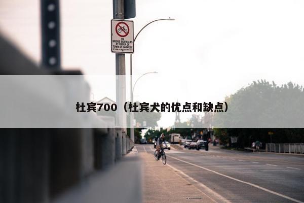 杜宾700(杜宾犬的优点和缺点)