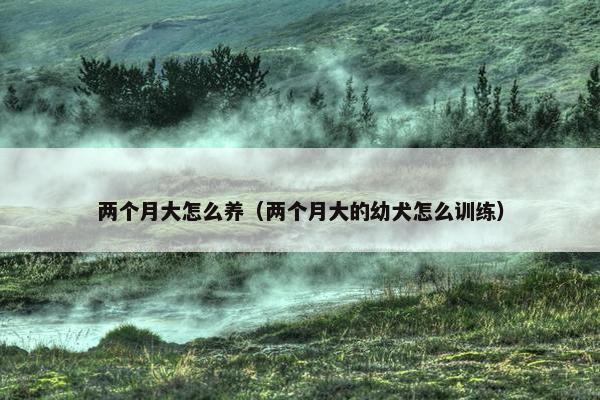 两个