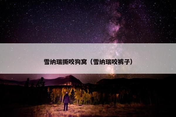 雪纳瑞撕咬狗窝（雪纳瑞咬裤子）