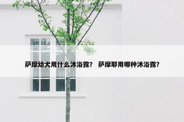 萨摩幼犬用什么沐浴露？ 萨摩耶用哪种沐浴露？