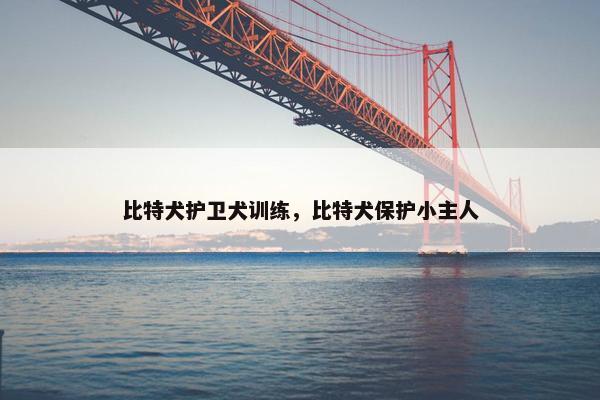 比特犬护卫犬训练，比特犬保护小主人