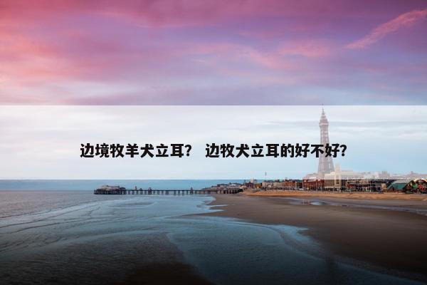 边境牧羊犬立耳？ 边牧犬立耳的好不好？