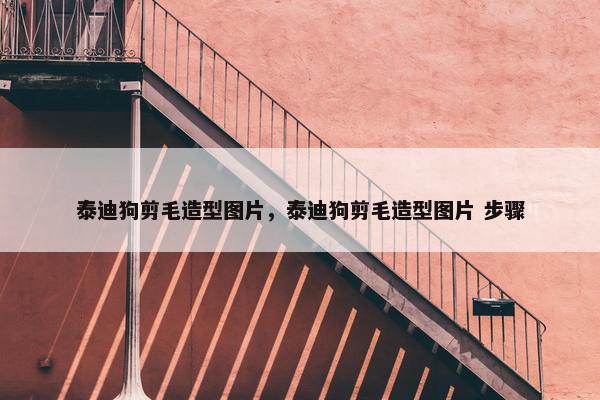 泰迪狗剪毛造型图片，泰迪狗剪毛造型图片 步骤