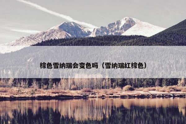 棕色雪纳瑞会变色吗（雪纳瑞红棕色）