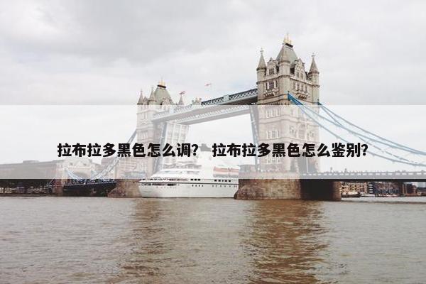 拉布拉多黑色怎么调？ 拉布拉多黑色怎么鉴别？
