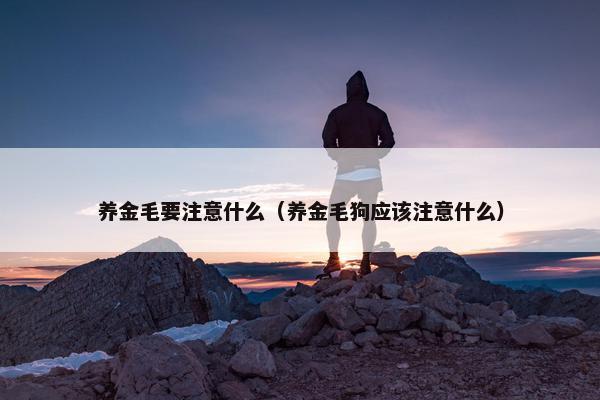养金毛要注意什么（养金毛狗应该注意什么）