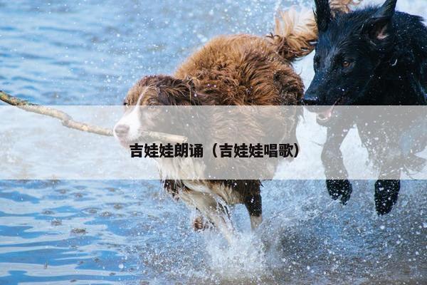吉娃娃朗诵（吉娃娃唱歌）