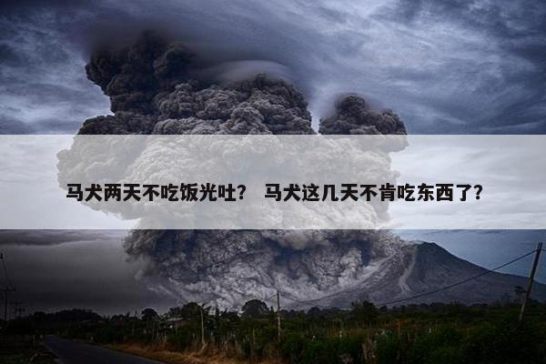 马犬两天不吃饭光吐？ 马犬这几天不肯吃东西了？