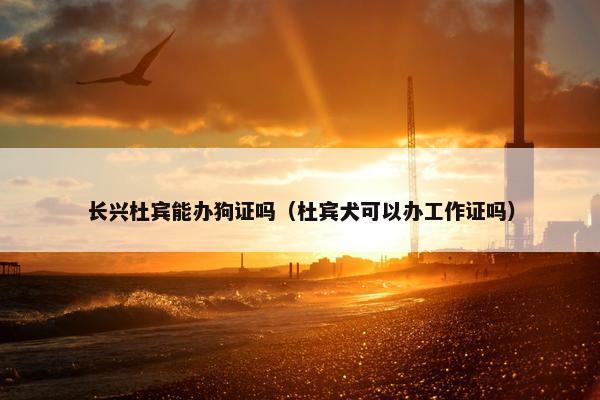 狗能