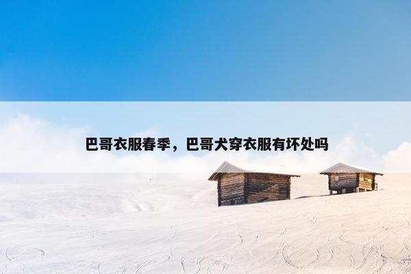 巴哥衣服春季，巴哥犬穿衣服有坏处吗