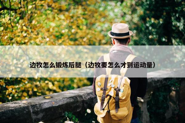 边牧怎么锻炼后腿（边牧要怎么才到运动量）