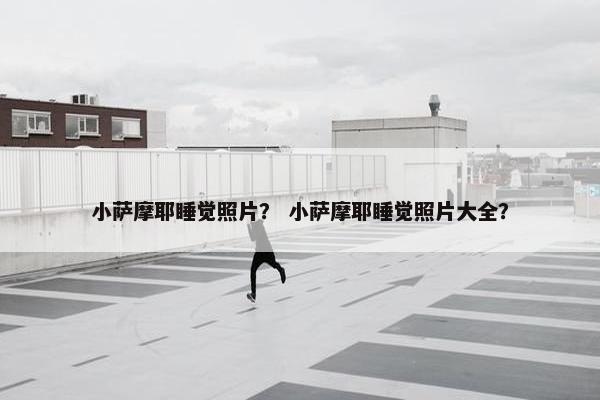 小萨摩耶睡觉照片? 小萨摩耶睡觉照片大全?