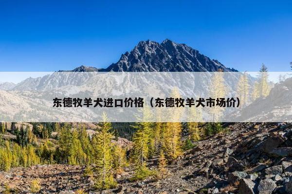 东德牧羊犬进口价格(东德牧羊犬市场价)