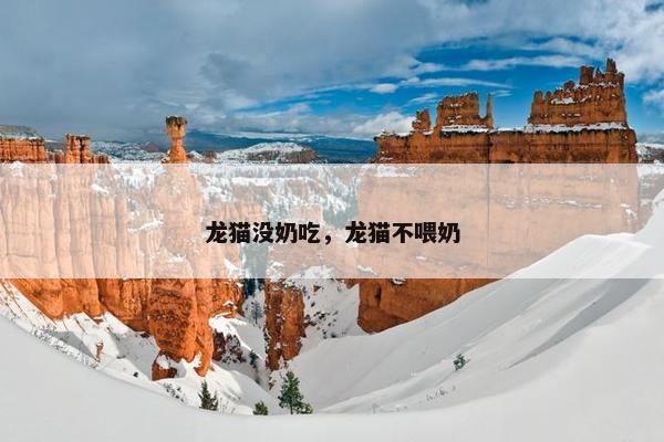 龙猫没奶吃，龙猫不喂奶