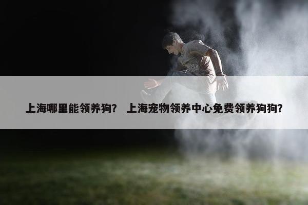 上海