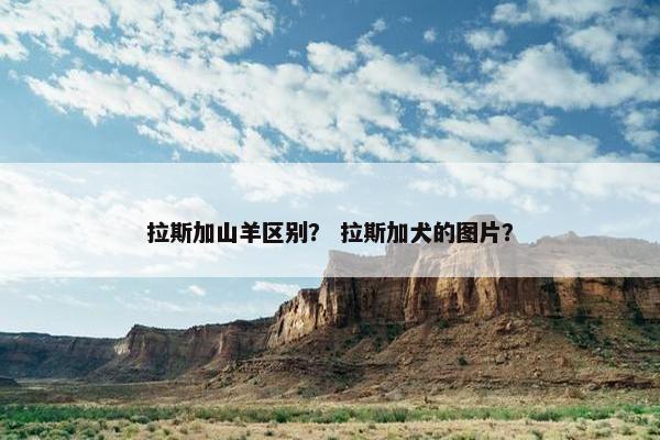拉斯加山羊区别？ 拉斯加犬的图片？