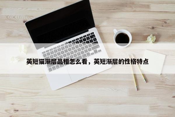 英短猫渐层品相怎么看，英短渐层的性格特点