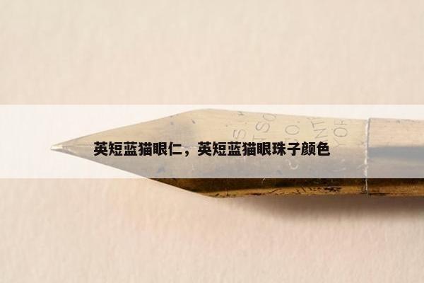 英短蓝猫眼仁，英短蓝猫眼珠子颜色