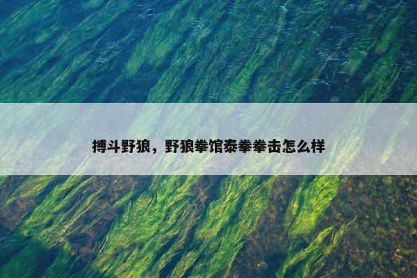 搏斗野狼,野狼拳馆泰拳拳击怎么样