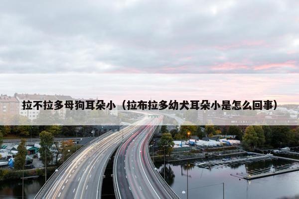 拉不拉多母狗耳朵小（拉布拉多幼犬耳朵小是怎么回事）