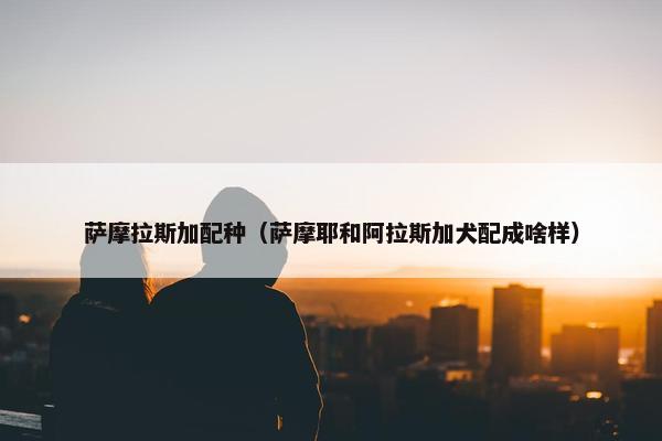 真实自由