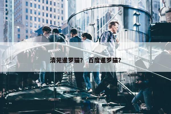 清苑暹罗猫？ 百度暹罗猫？