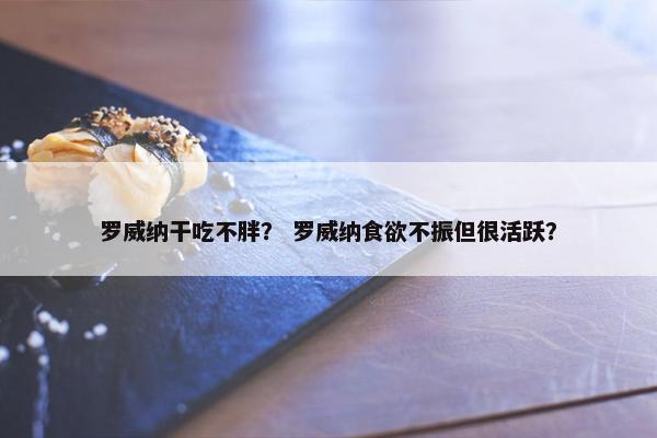 罗威纳干吃不胖? 罗威纳食欲不振但很活跃?