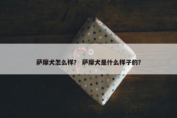 萨摩犬怎么样？ 萨摩犬是什么样子的？