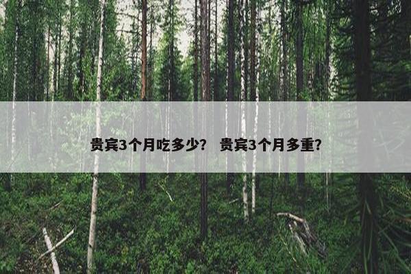 贵宾3个月吃多少？ 贵宾3个月多重？